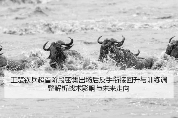 王楚钦乒超首阶段密集出场后反手衔接回升与训练调整解析战术影响与未来走向